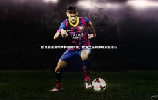 B体育平台_欧足联主席切费林盛赞C罗，欧洲之王的荣耀实至名归